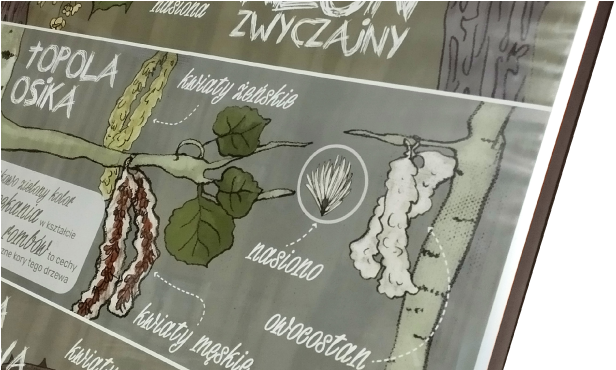 materiały edukacyjne dla szkół i przedszkoli